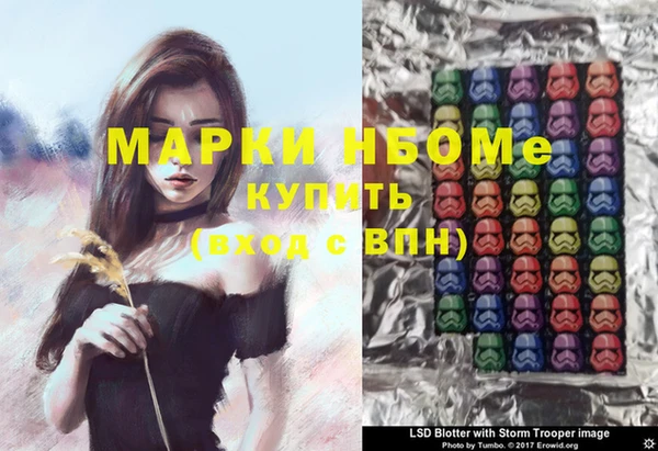 гашик Аркадак
