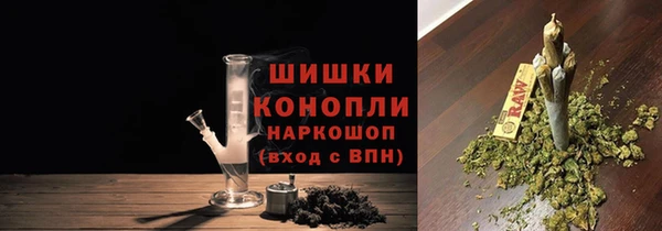 гашик Аркадак