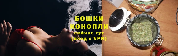 PSILOCYBIN Армянск