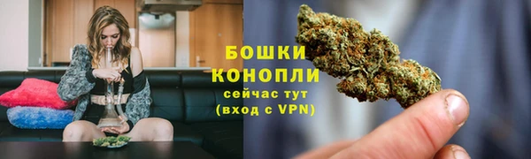 PSILOCYBIN Армянск