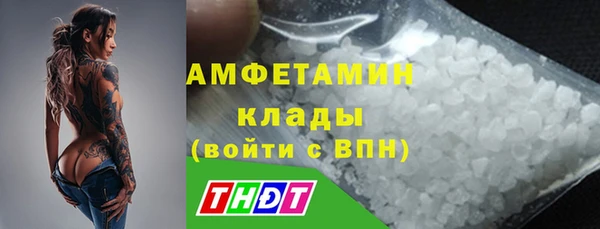 гашик Аркадак