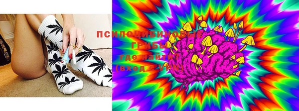 PSILOCYBIN Армянск