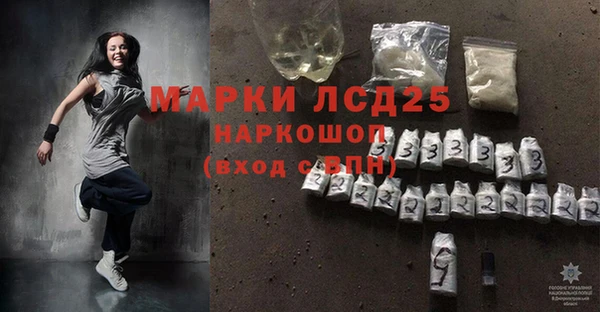 гашик Аркадак