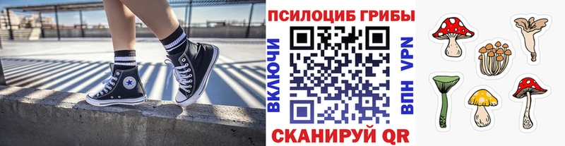 Галлюциногенные грибы Cubensis  hydra как войти  Сарапул 